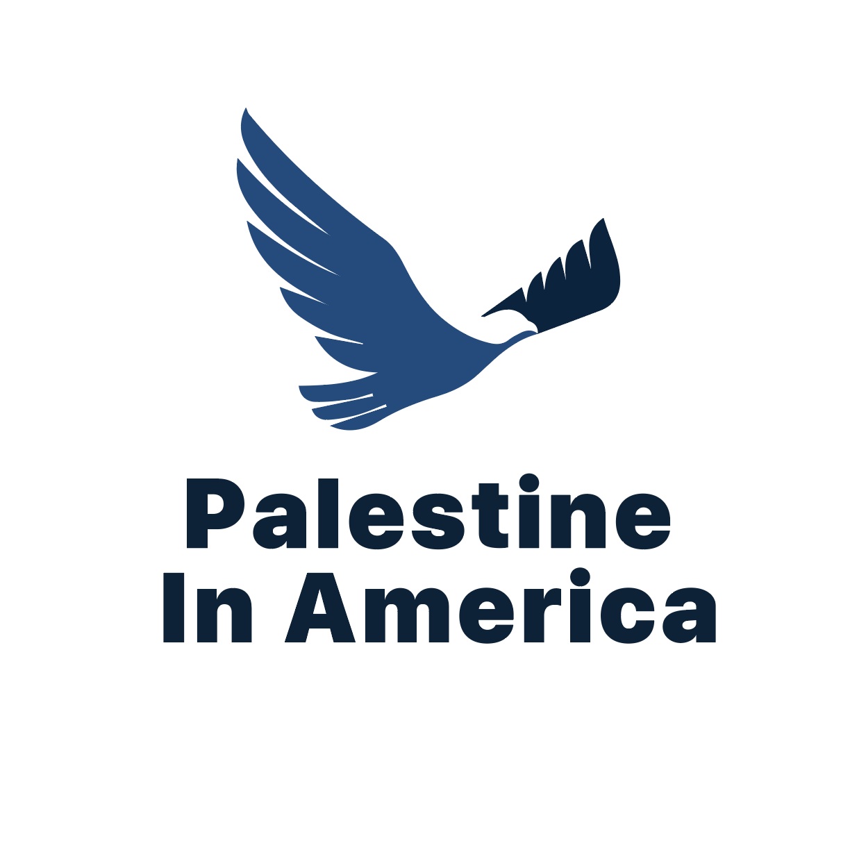 Palestine in America